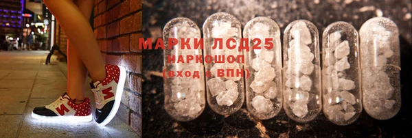 ГАЛЛЮЦИНОГЕННЫЕ ГРИБЫ Алексин