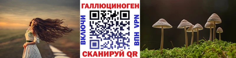 Галлюциногенные грибы Cubensis  это какой сайт  Бронницы 